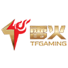 TFGAMING